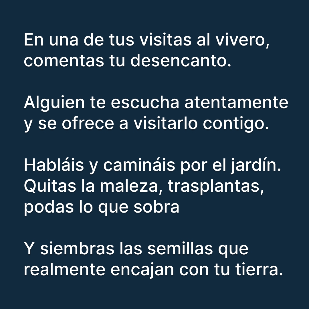 El jardín — 6